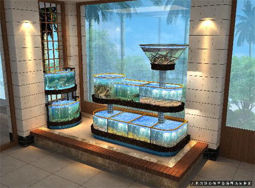 海鲜池过滤循环系统设计指南 如何搭配滤材让池水更清澈