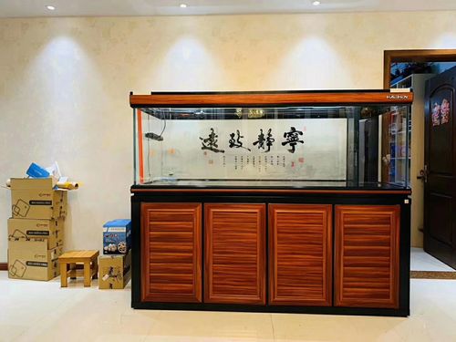 三大品牌滤材聚首 从设计哲学看过滤系统的灵魂