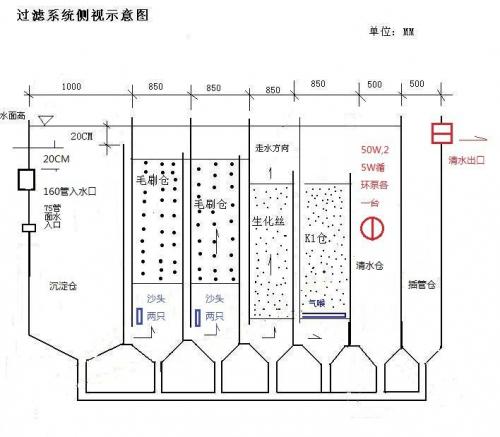 鱼池过滤系统全解析 滤材设计与系统构建的核心逻辑